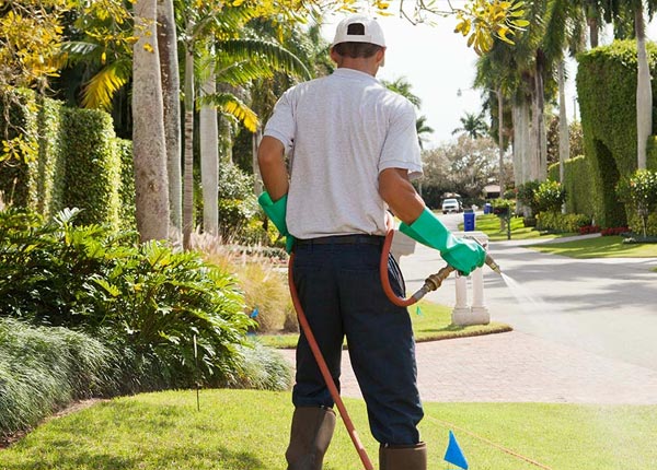 About Olive Branch MS Pest Control Pros